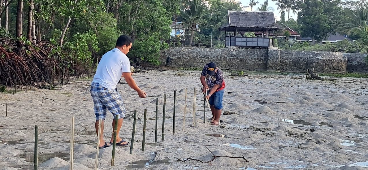 Tree Planting at Moalboal